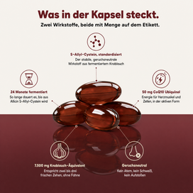Kuro Fermentierter Knoblauch-Extrakt