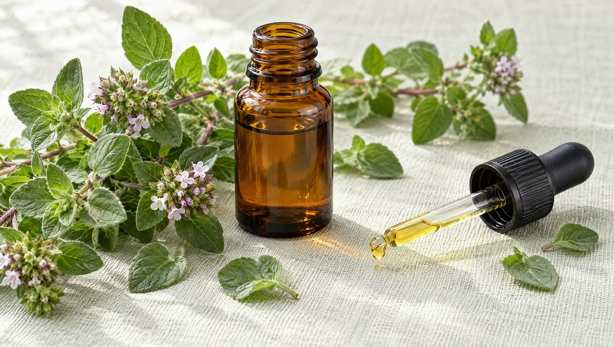 Oregano-Öl mit Pipette und frischem Oregano